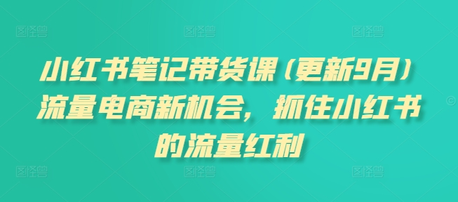 小红书笔记带货课(更新25年3月)流量电商新机会，抓住小红书的流量红利_久创网