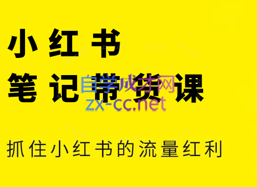 张宾·小红书笔记带货课(更新3月学员分享)_久创网