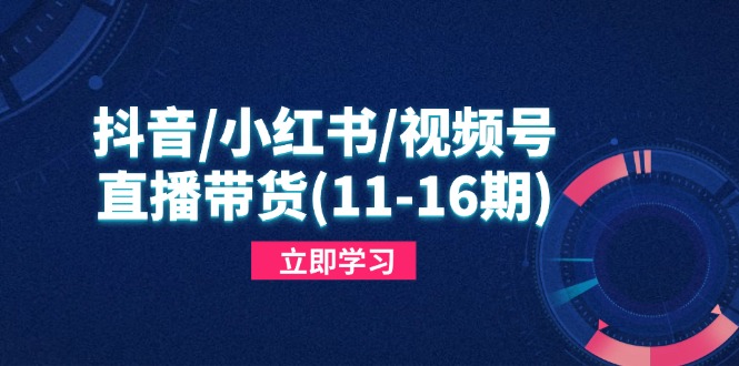 抖音/小红书/视频号/直播带货(11-16期_久创网