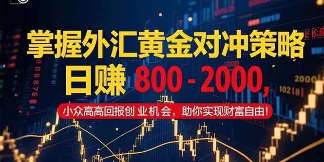 掌握外汇黄金对冲策略，日赚 800 - 2000，小众高回报创业机会，助你实..._久创网