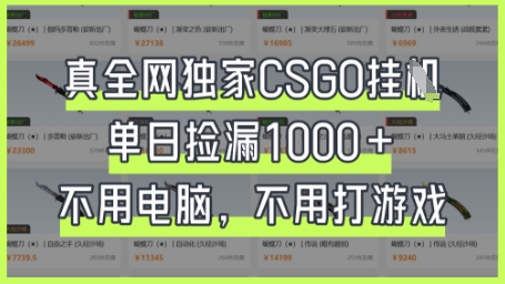 真全网独家CSGO挂G，单日捡漏1k+【揭秘】_久创网