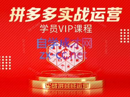 推易电商·拼多多实战运营课(更新2025月)_久创网