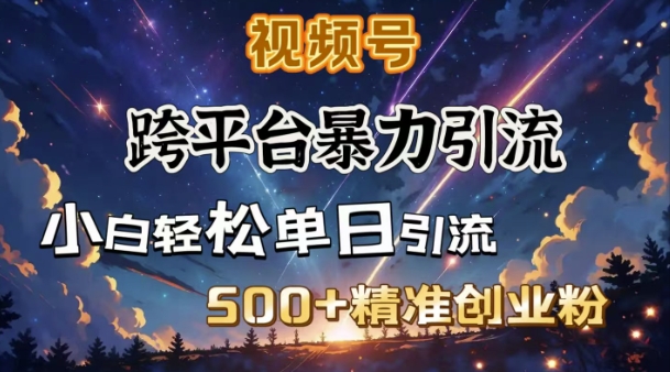 跨平台暴力引流，私域完美闭环，日引500+精准创业粉_久创网