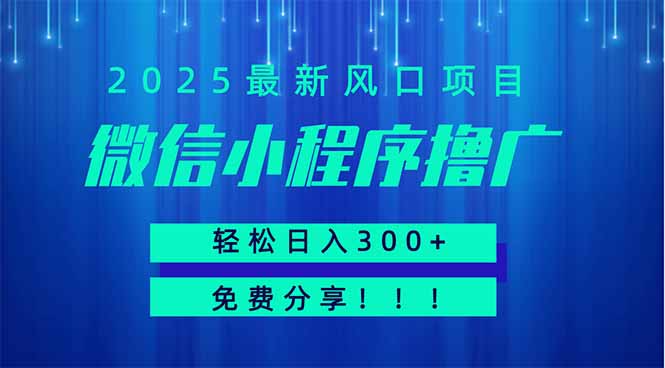 微信小程序撸广，最新风口项目，日入300+ 免费分享 可批量操作 小白可..._久创网