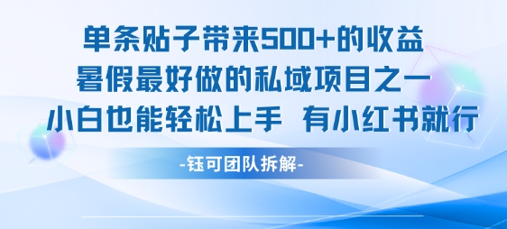 单条贴子带来5张的收益，暑假最好做的私域项目之一，小白也能轻松上手，有小红书就行_久创网