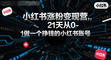 小红书涨粉变现营，21天从0-1做一个挣钱的小红书账号_久创网