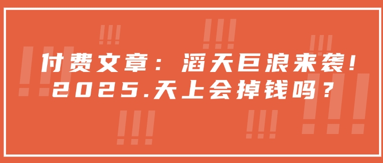 付费文章：滔天巨浪来袭！2025天上会掉钱吗？_久创网