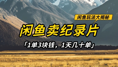 闲鱼卖纪录片1单3块钱，1天几十单，项目稳定有潜力_久创网