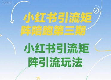 小红书引流矩阵陪跑第三期，小红书引流矩阵引流玩法_久创网