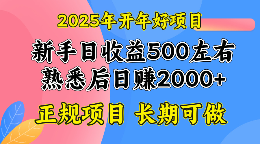2025开年好项目，单号日收益2000左右_久创网