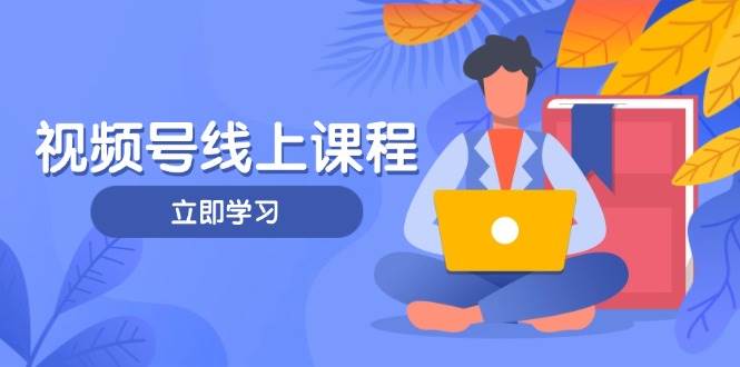 视频号实战课程，轻IP打造与运营技巧，掌握核心方法与策略_久创网