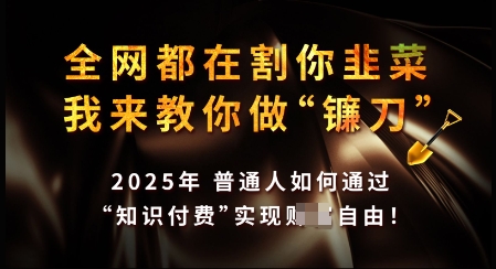知识付费如何做到月入过W+，2025我来教你做“镰刀”【揭秘】_久创网