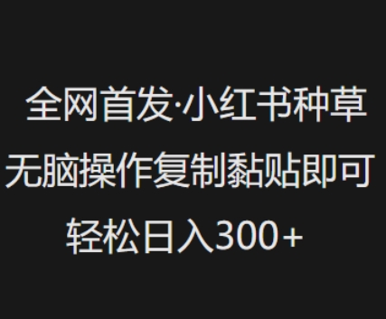全网首发，小红书种草无脑操作，复制黏贴即可，轻松日入3张_久创网
