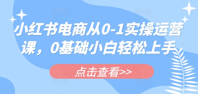 小红书电商从0-1实操运营课，0基础小白轻松上手_久创网