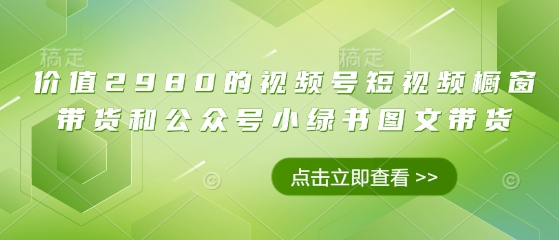 价值2980的视频号短视频橱窗带货和公众号小绿书图文带货_久创网