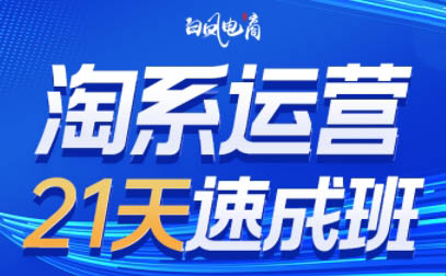 白凤电商·淘系运营21天速成班(更新3月)_久创网