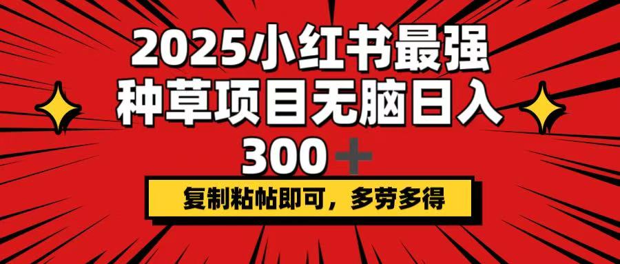 2025小红书最强种草项目，无脑日入300+，复制粘帖即可，多劳多得_久创网