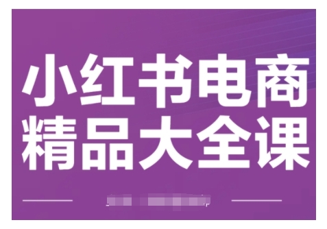 小红书电商精品大全课，快速掌握小红书运营技巧，实现精准引流与爆单目标，轻松玩转小红书电商(更新2月)_久创网