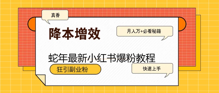 蛇年最新小红书爆粉教程，狂引副业粉，月入万+必看_久创网