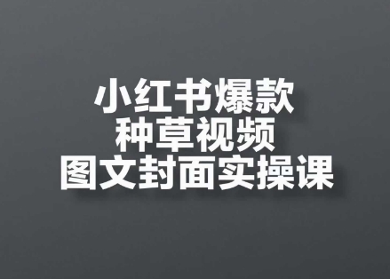 小红书爆款种草视频图文封面实操课，​开店、选品、引流、变现全流程_久创网