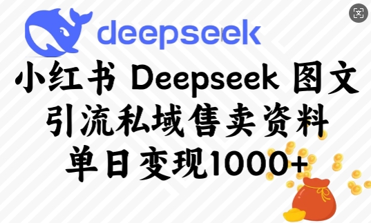 小红书Deepseek图文引流私域售卖资料，单日变现多张_久创网