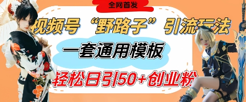 视频号“野路子”玩法，评论区疯狂截流，一套模板单日单号引流50+创业粉_久创网