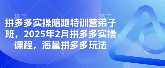 拼多多实操陪跑特训营弟子班，2025年2月拼多多实操课程，海量拼多多玩法_久创网