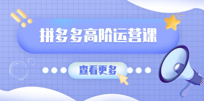 拼多多高阶运营课：极致群爆款玩法，轻付费无尽复制，打造单品爆款之路_久创网