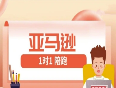亚马逊1对1陪跑课(FBA/FBM精铺)跨境亚马逊教程_久创网