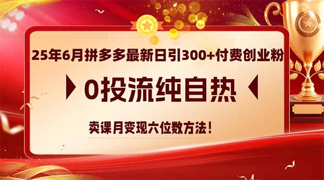 25年6月拼多多最新日引300+付费创业粉，0投流纯自热 卖课月变现六位数方法_久创网