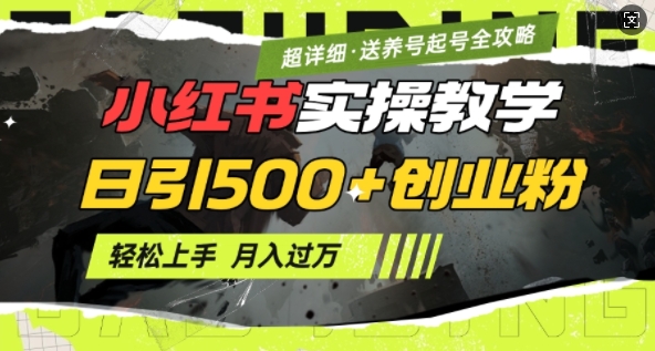 2月小红书最新日引500+创业粉实操教学【超详细】小白轻松上手，月入1W+，附小红书养号起号SOP_久创网