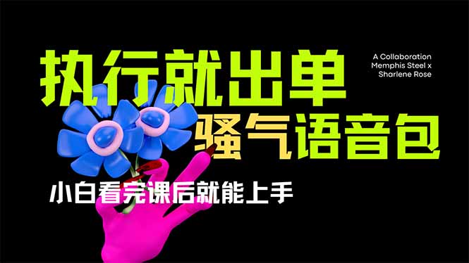 爆火全网的开车导航骚气语音包,只要执行就出单，小白看完课程就能实操..._久创网