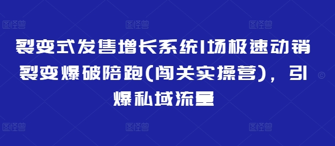 裂变式发售增长系统1场极速动销裂变爆破陪跑(闯关实操营)，引爆私域流量_久创网