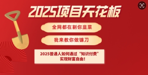 2025项目天花板普通人如何通过知识付费，实现财F自由【揭秘】_久创网